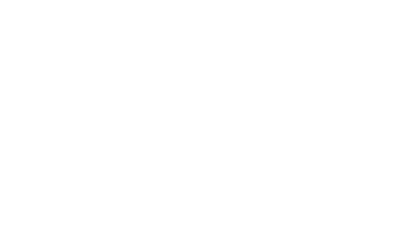 BFO Partners