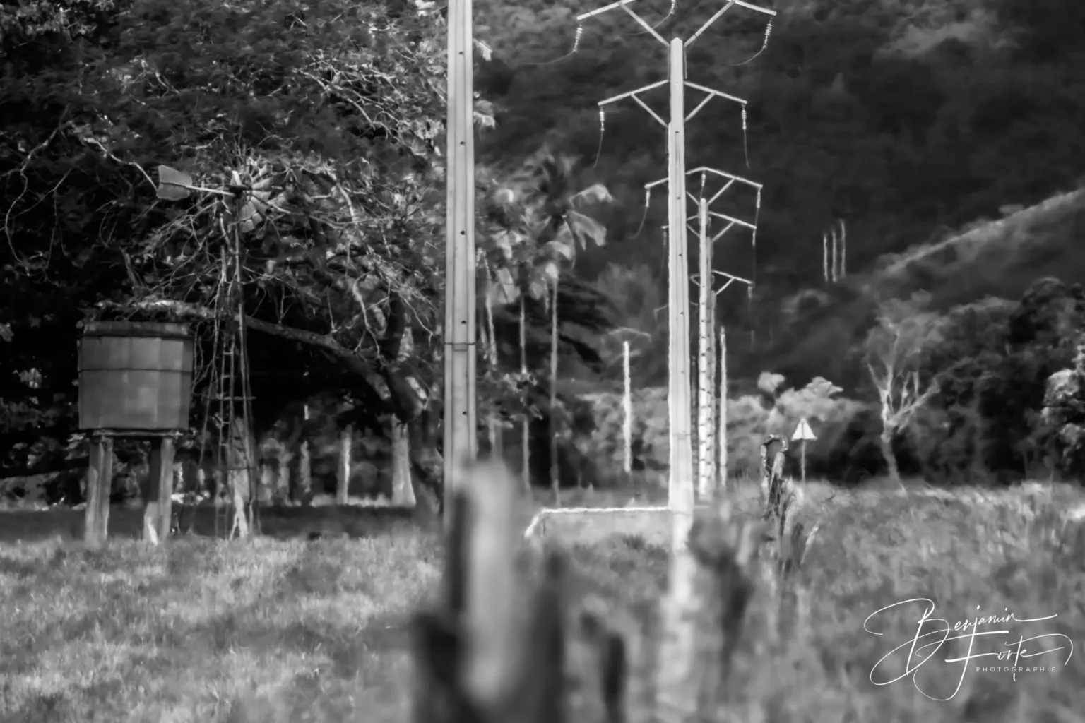 Electricity pylons and poles along a roadside, in black and white